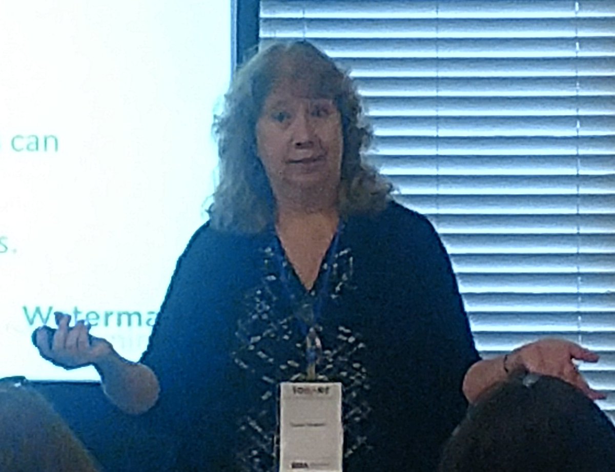 Susan Heidorn - What's Next: BA to BRM - Sobarc 2019