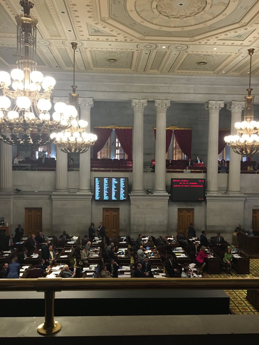 DavidsonCoDA's tweet image. Getting the word out! ✅
Victim witness coordinators from @DavidsonCoDA and other jurisdictions across TN were on Capitol Hill this week, raising awareness of Crime Victims Rights Week! #besafeTN ✨#supportforvictims #fromhurttohope