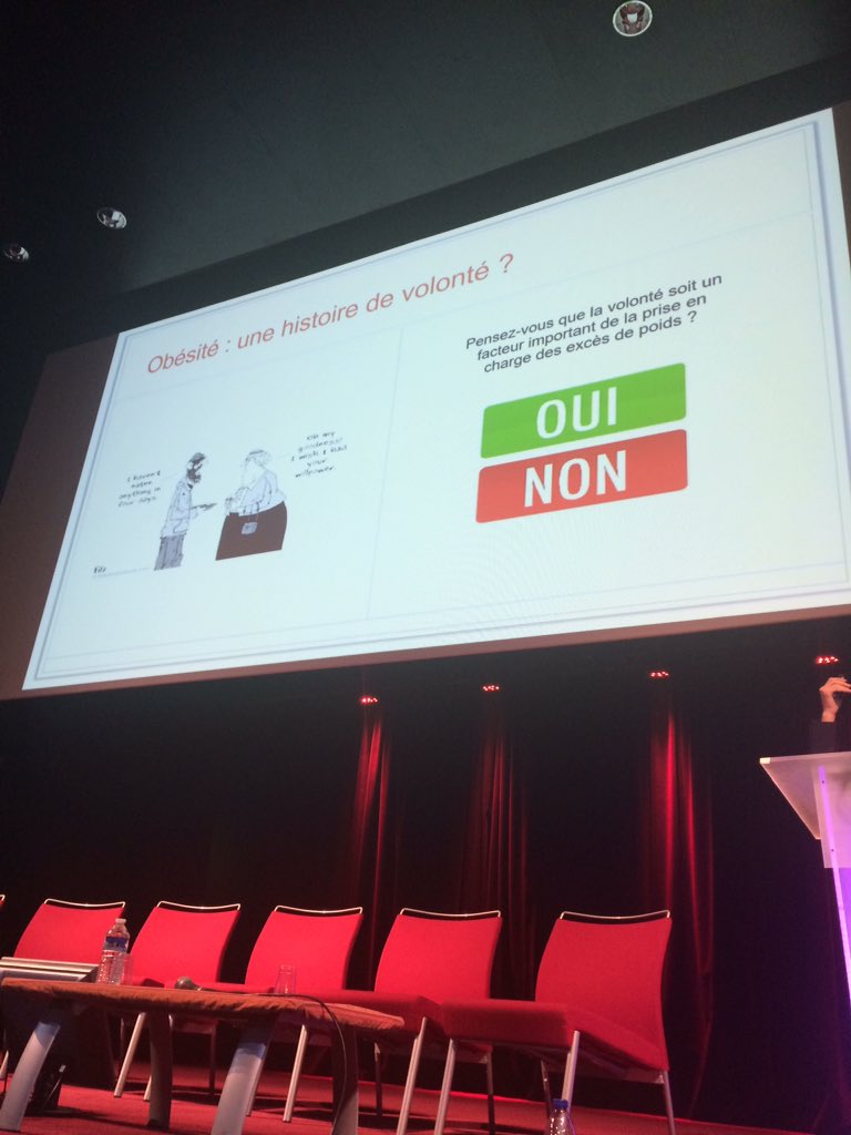 Traitement de l’obesite par le Pr A. Avignon