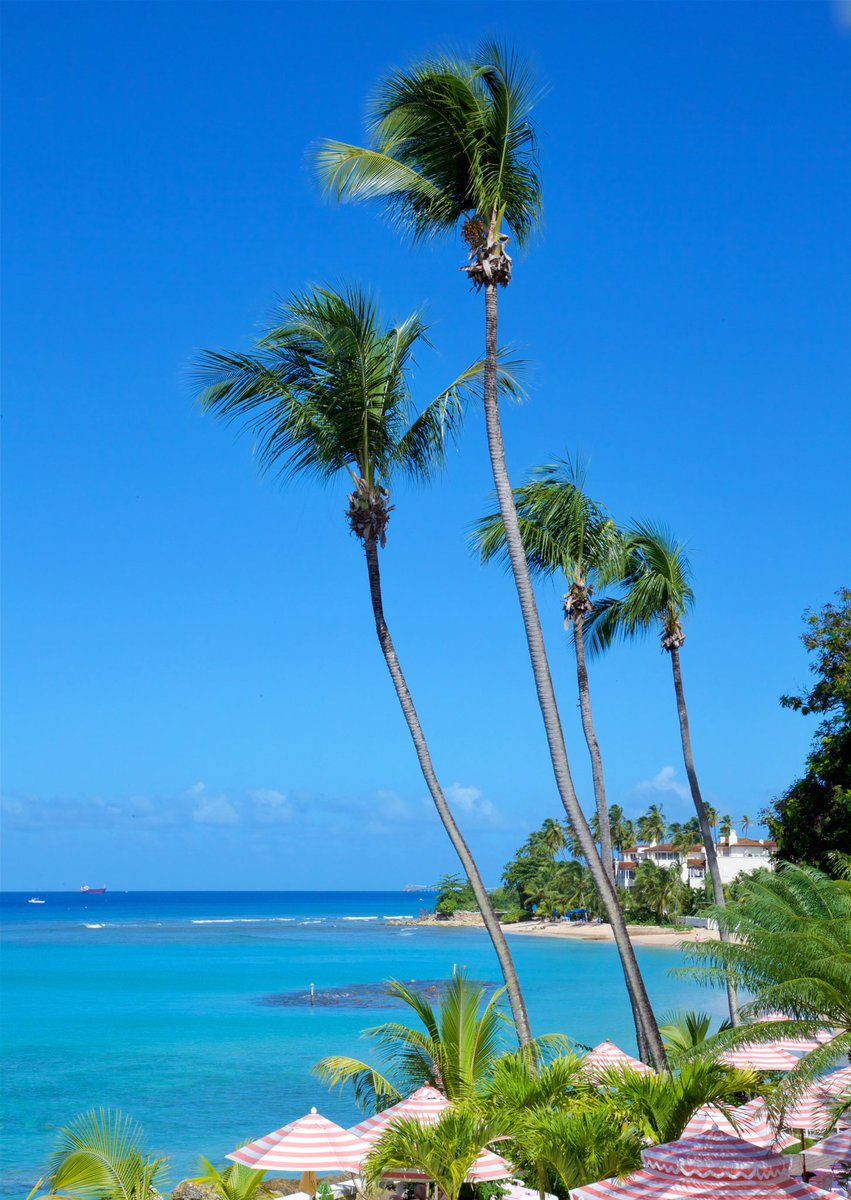 Cobblers Cove Hotel tweet media