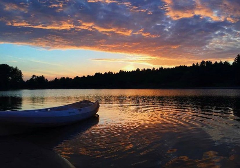 YoungLives tweet media