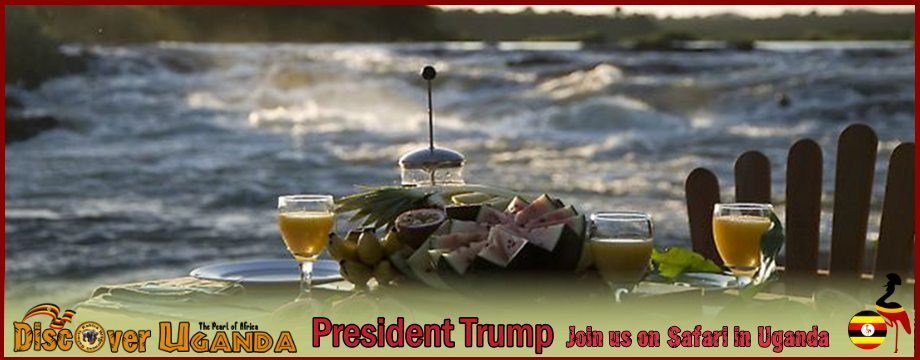 President Trump Join us on Safari in Safe-Secure Uganda the Pearl of Africa kabiza.com/kabiza-wildern…