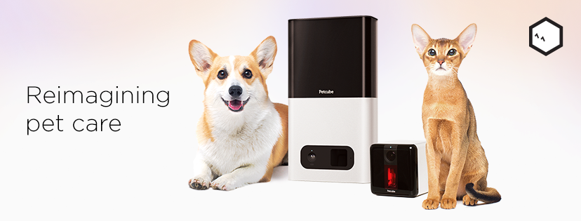 legged_the's tweet photo. Do you want to know what is your dog doing when they are home alone ?
- If your answer is YES then click the link and go check out one of the best cameras. Imagine that you are not at home and you can talk to you dog ?
https://t.co/CYjn0LwN4t
#dogblog #blogpost #petcube #camera https://t.co/kkwZmWCNG5