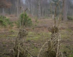 FabFarmShops's tweet photo. You can learn the art of willow weaving on Thursday 2nd May &amp; create your own Willow Hare at @Drewtons! 
The #workshop includes all materials including food &amp; drinks prepared by the #drewtons #farmshop team 👍https://t.co/dg9myLoBYO https://t.co/kWZ0YJoNWG