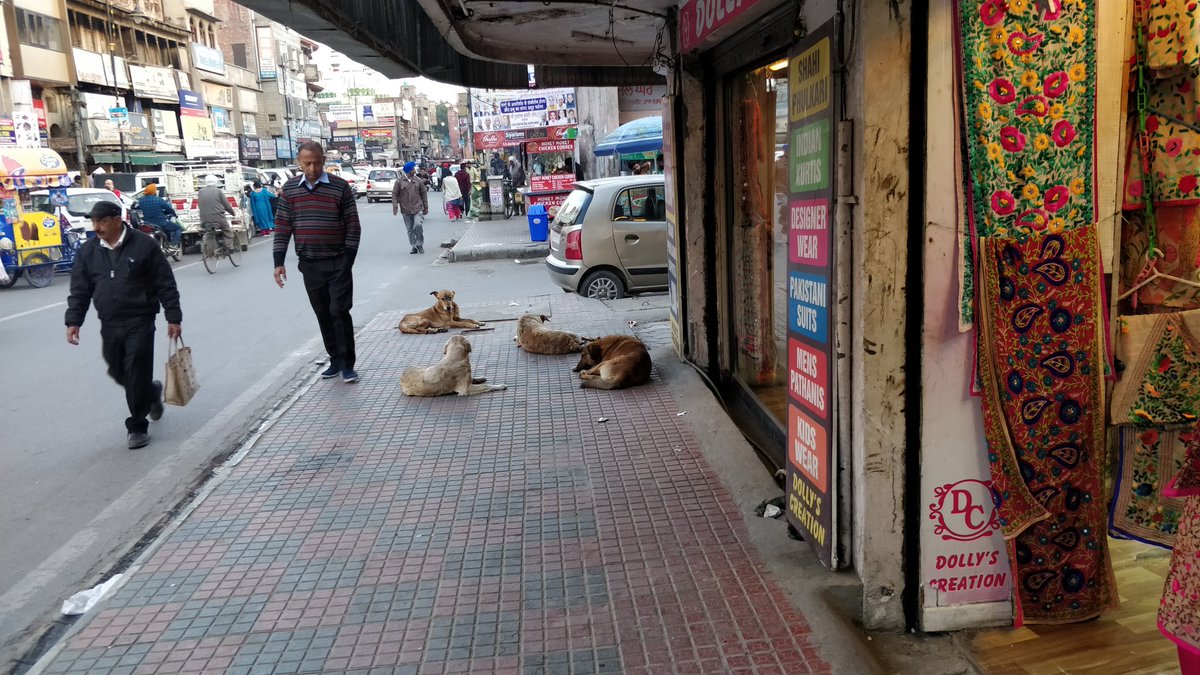 VibhorDhingra's tweet photo. @capt_amarinder  to visit Amritsar and suddenly we see paths closed for general public, illegal parking spots empty, illegal hoardings gone and police everywhere helping civilians like never before. I wish this could happen on a regular basis. #VIPculture @narendramodi @INCIndia https://t.co/LpSywCwzov