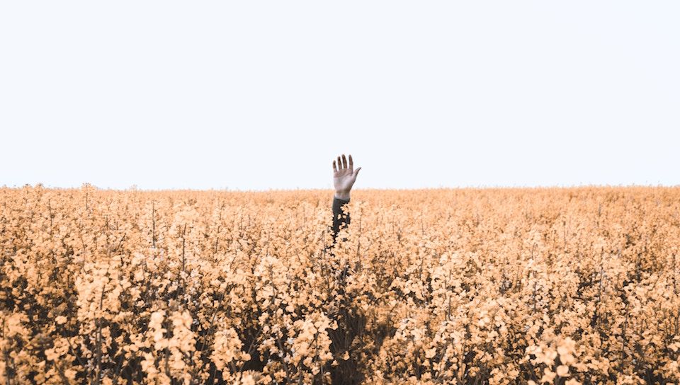 Louis Carle tweet media