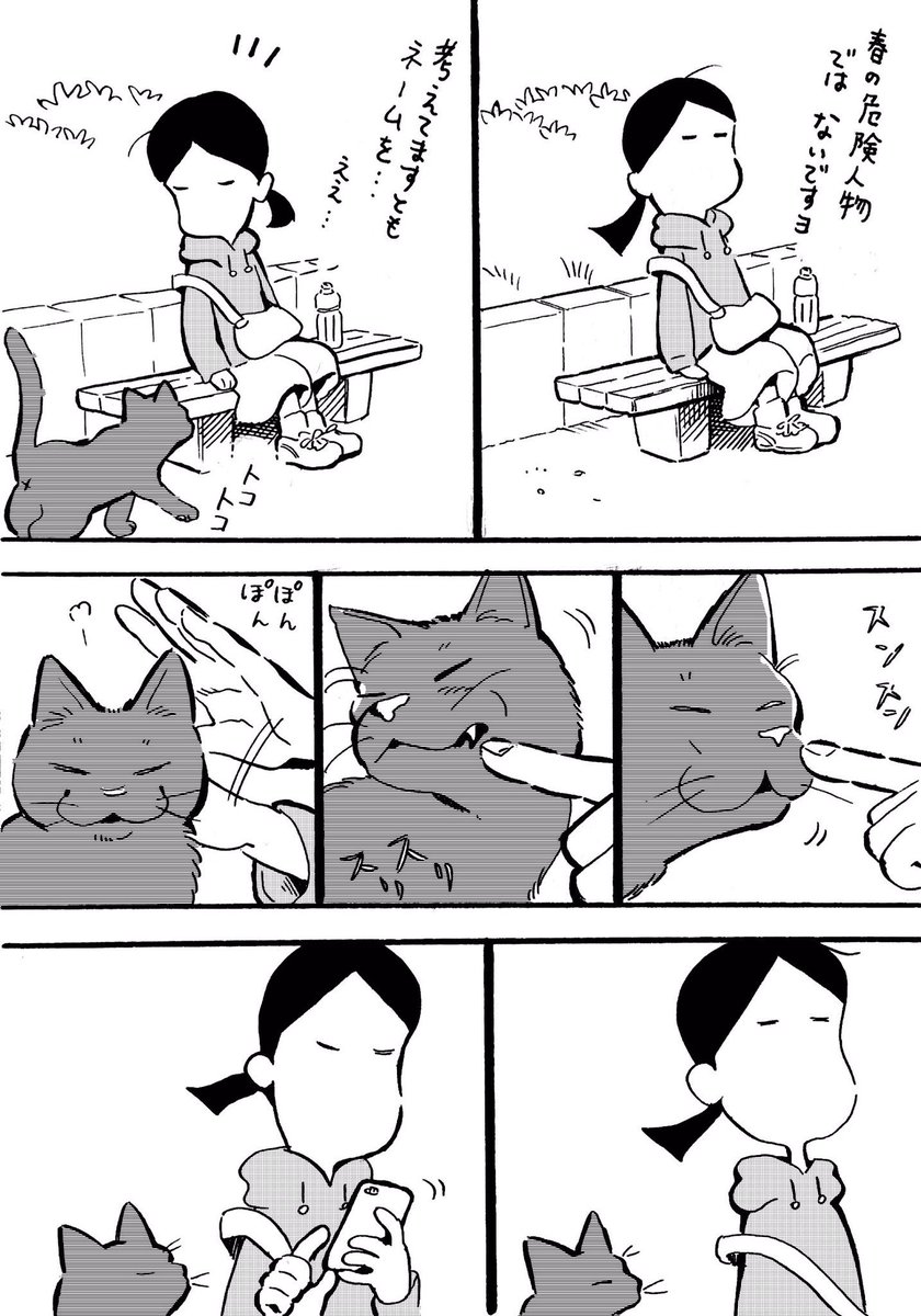 出会ったのらねこシリーズ 