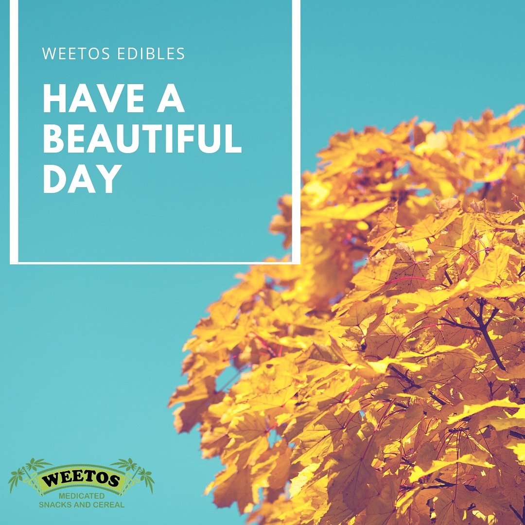 weetosedibles1's tweet photo. Have a beautiful day!! 

Always the best.. 

#weetosedibles #Weetos #cannabiscommunity #CannabisOil #cannabis #marijuana #medicalmarijuana #weed #thccartridges @joeykokomo_disabled_robo_vet #flaminghotasteroids #fantawhitepeach #cocacolaclear #fantabanana #exoticpop https://t.co/p7Gad7N389