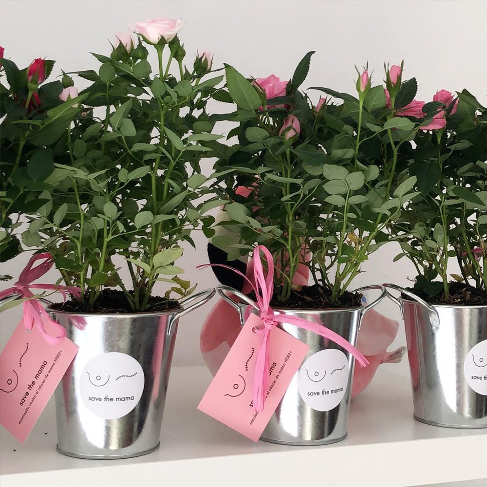 savethemama_org's tweet photo. SANT JORDI! 🌹Todo listo para uno de nuestros días favoritos del año. 💗 ¿Te gustaría escoger una rosa solidaria este año para regalar? Puedes reservar rosas y rosales #savethemama en https://t.co/JgNzY1d9yi 😊 #SantJordi2019 https://t.co/sYBqB0OJlc