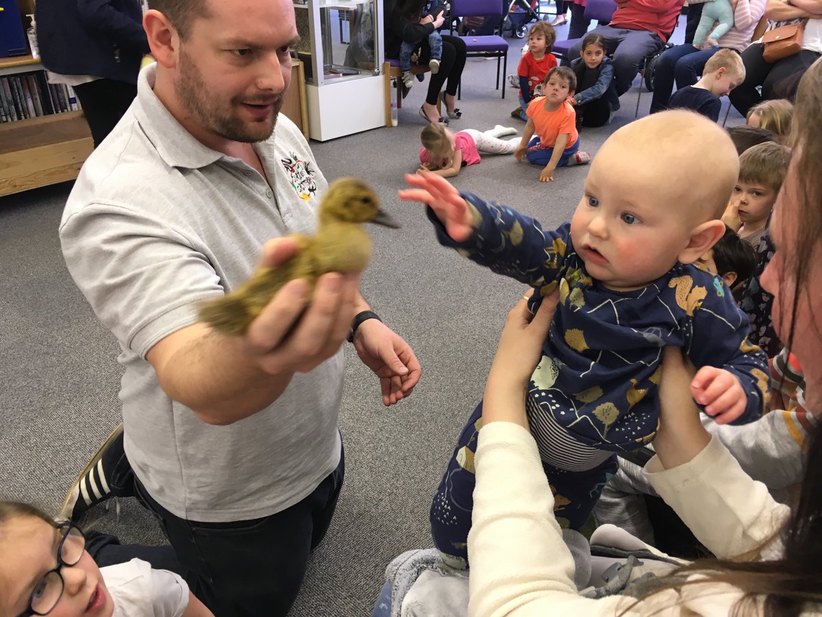 WiganLibraries's tweet image. A big thank you to #CuriousCritters for a fantastic visit to #StandishLibrary 👍🏻👍🏻👍🏻 The children learned lots of interesting facts about the animals, how to look after them &amp;amp; had lots of fun too. 🦉🐰🐥Check out the Curious Critters Facebook page: facebook.com/curiouscritter…