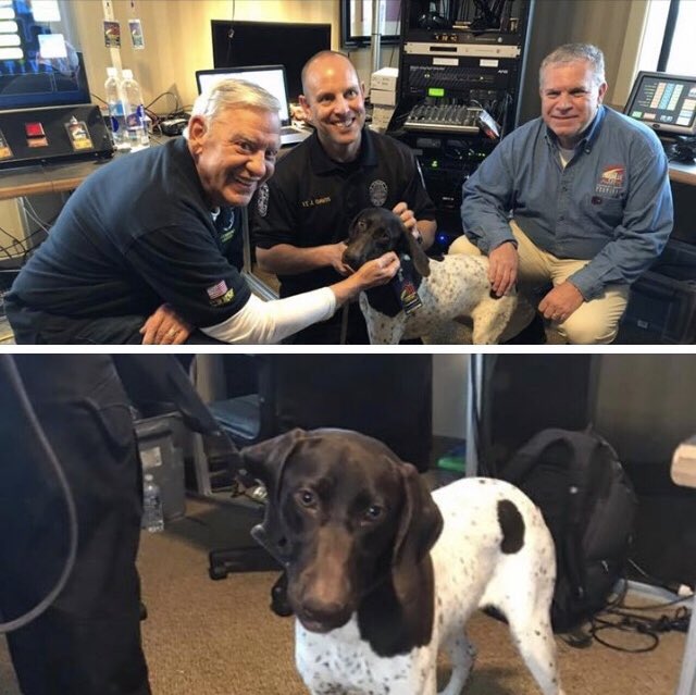 Meet Thunder, LMPD’s newest Officer. Thank you Logan Lavelle Hunt, the Kentucky Derby Festival, and the Kentucky Derby Festival Foundation for making this new addition possible.