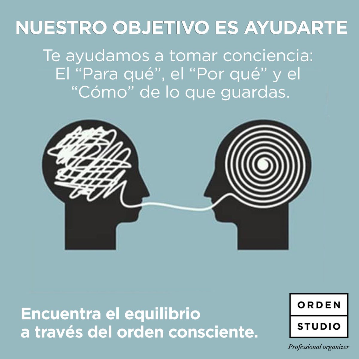 Orden Studio tweet media
