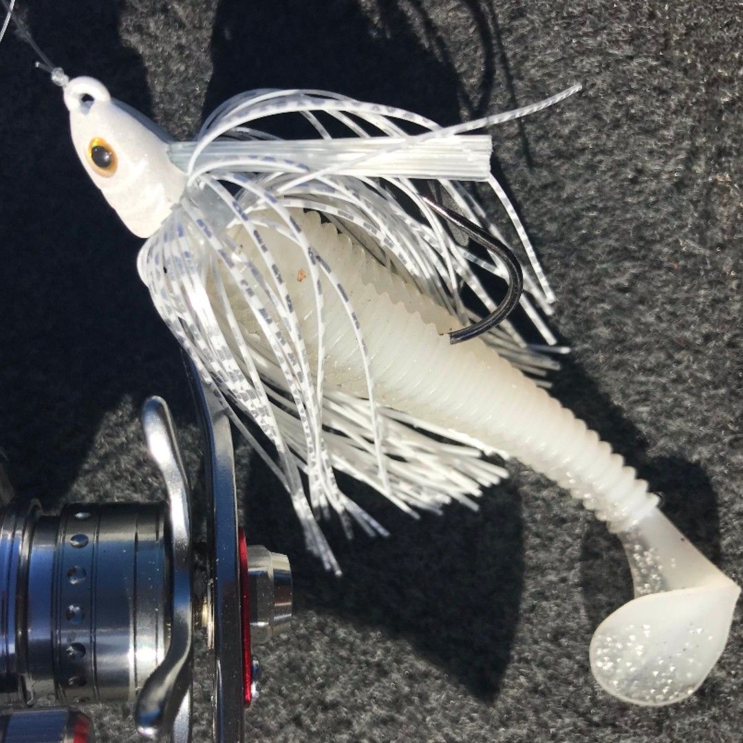 SecretLures's tweet photo. Today is a great day for a swim!  #SecretLures #JigFishin https://t.co/jKAY2b4we1