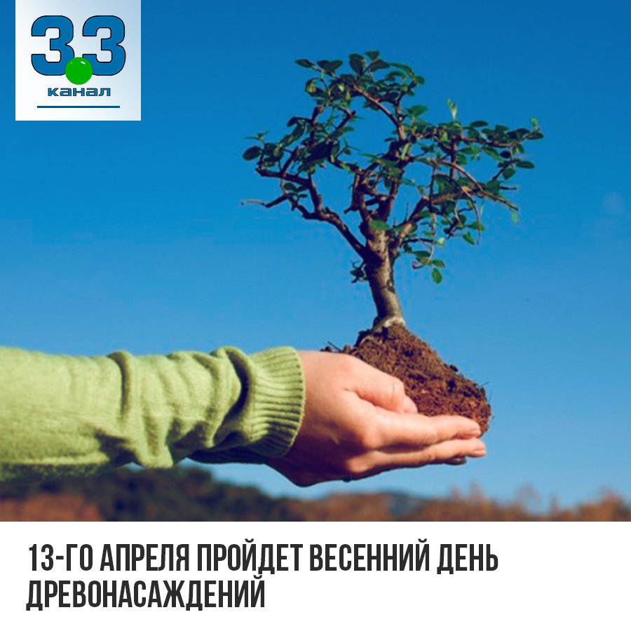 13-го апреля пройдет Весенний День древонасаждений. На шахтинских улицах появятся клены, березы, сосны, каштаны, липы и другие растения. Зелеными обновками смогут похвастаться Александровский парк, территории возле школ, детских садов, больниц… t2p.pw/6HN5sRLNqo
