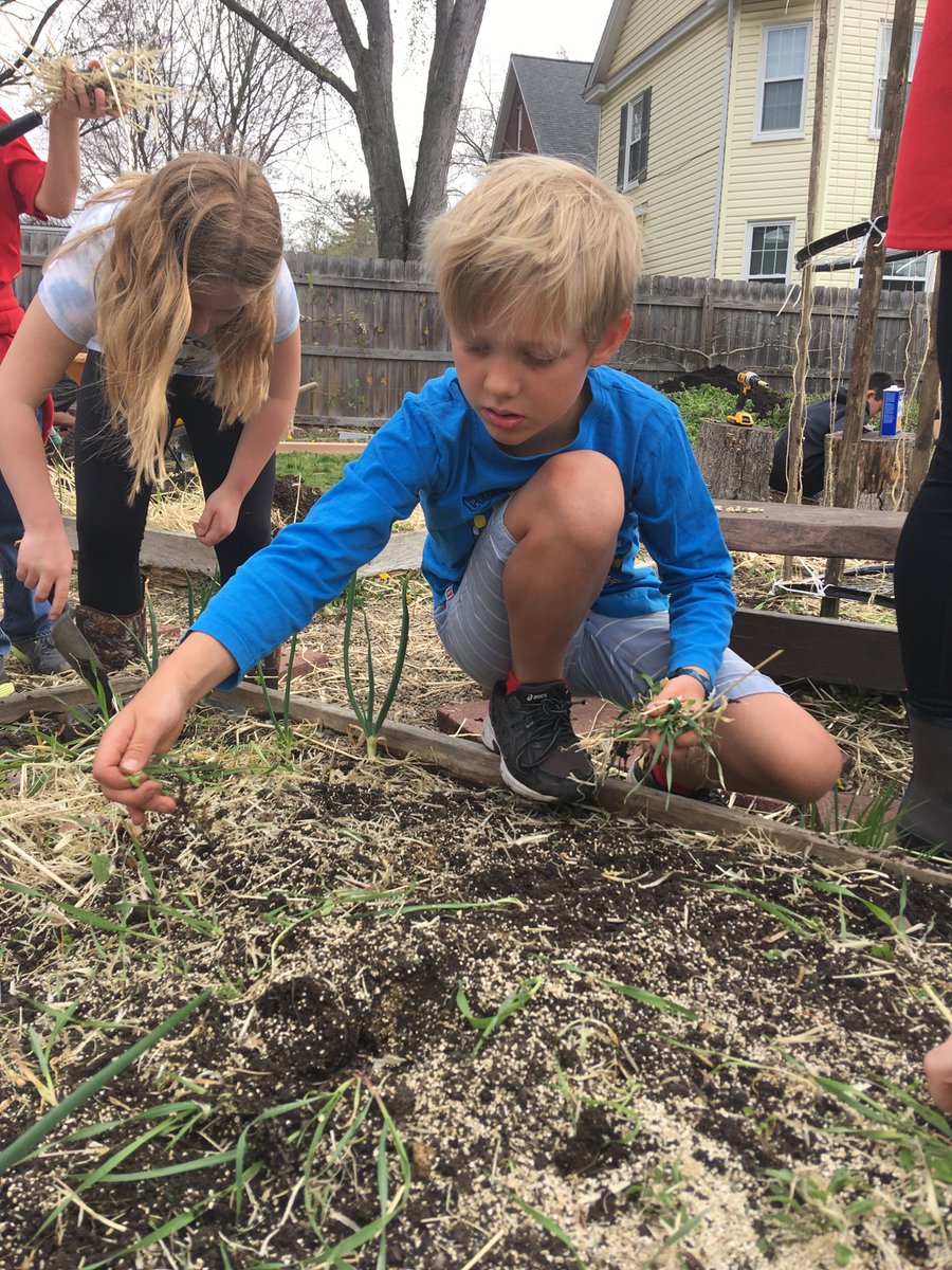 jerilynscott's tweet photo. Grade 2 students preparing the garden for spring planting. #SAserves19 https://t.co/I3qZmHDsDX