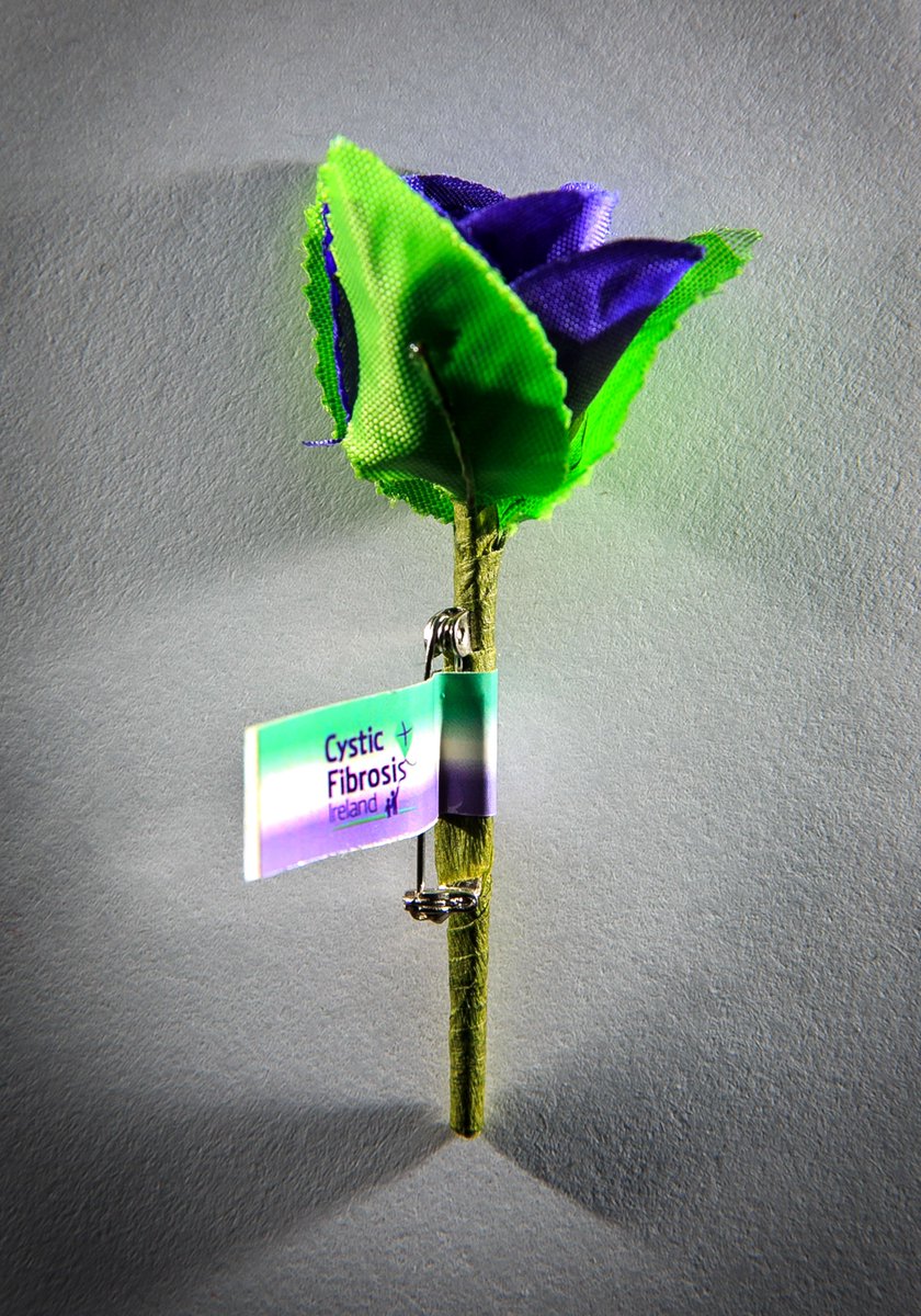 d2comms's tweet photo. Great to see fashionistas @MauraDerrane and @daithi_ose, and guests, in the purple today and sporting purple roses to support people with cystic fibrosis on @RTEToday for #65RosesDay @cf_ireland #SoOnTrend https://t.co/Qo5rFtwIZu