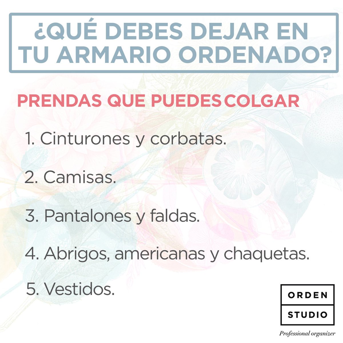Orden Studio tweet media