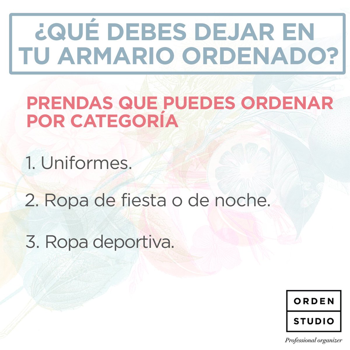 Orden Studio tweet media