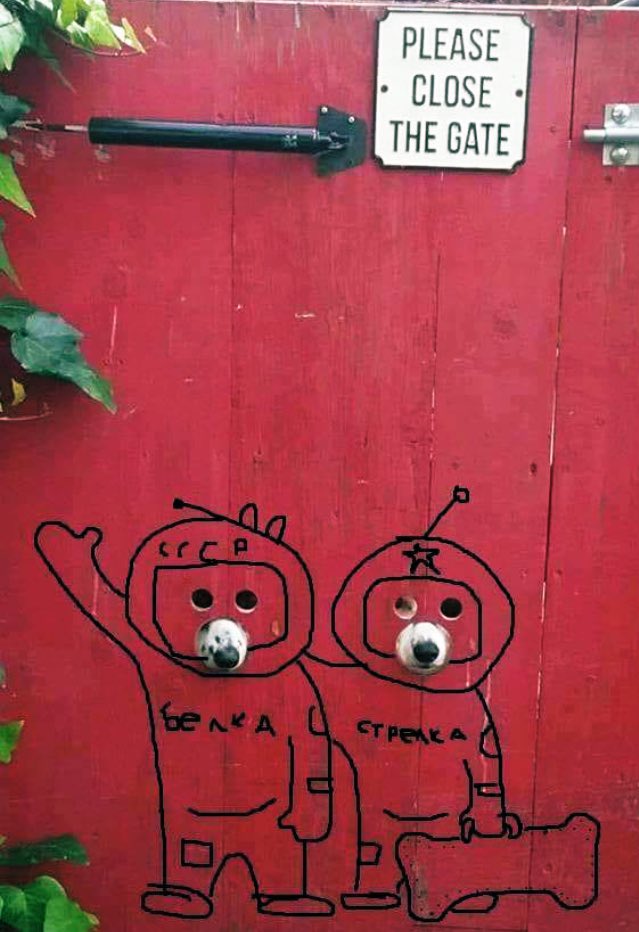С Днём Космонавтики!