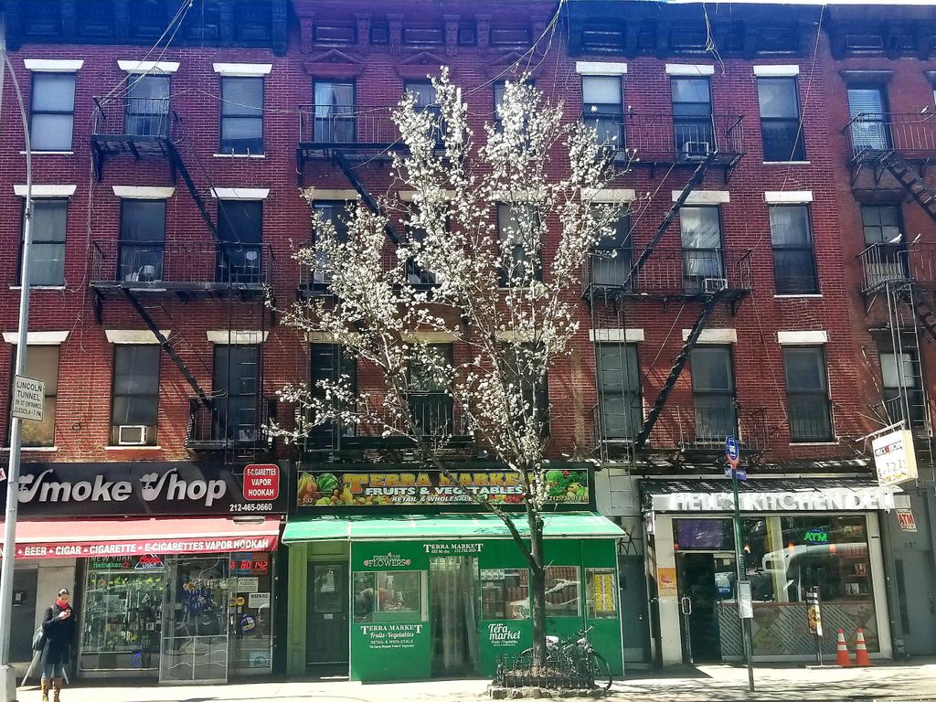 Keeping an eye on this weekend while Spring makes an appearance. 😉

#warmup #springblooms #hellskitchen #distrikthotenyc