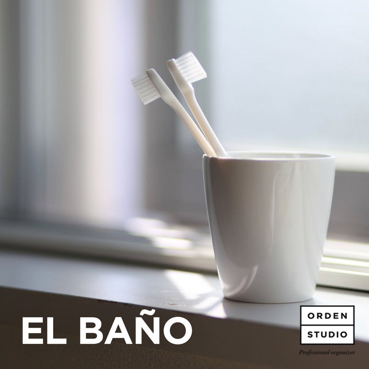 Orden Studio tweet media