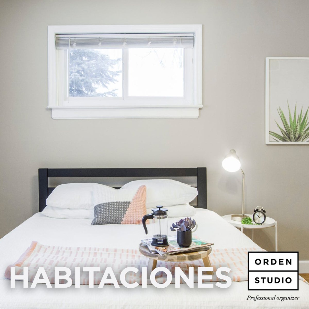 Orden Studio tweet media
