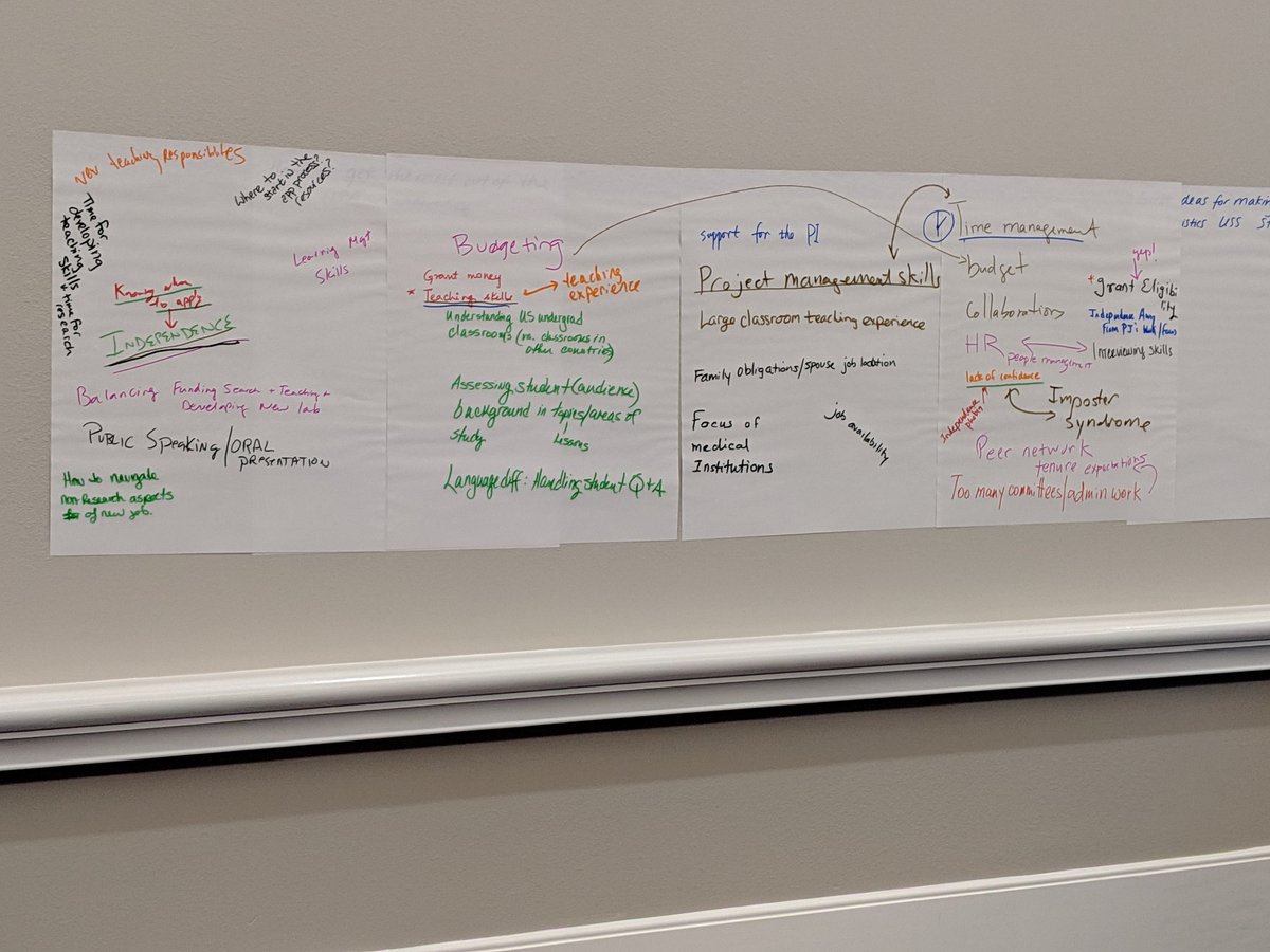 Challenges #postdocs face when transitioning to a faculty position? Crowd sourced by attendees in the session on developing a teaching institute at #NPA2019