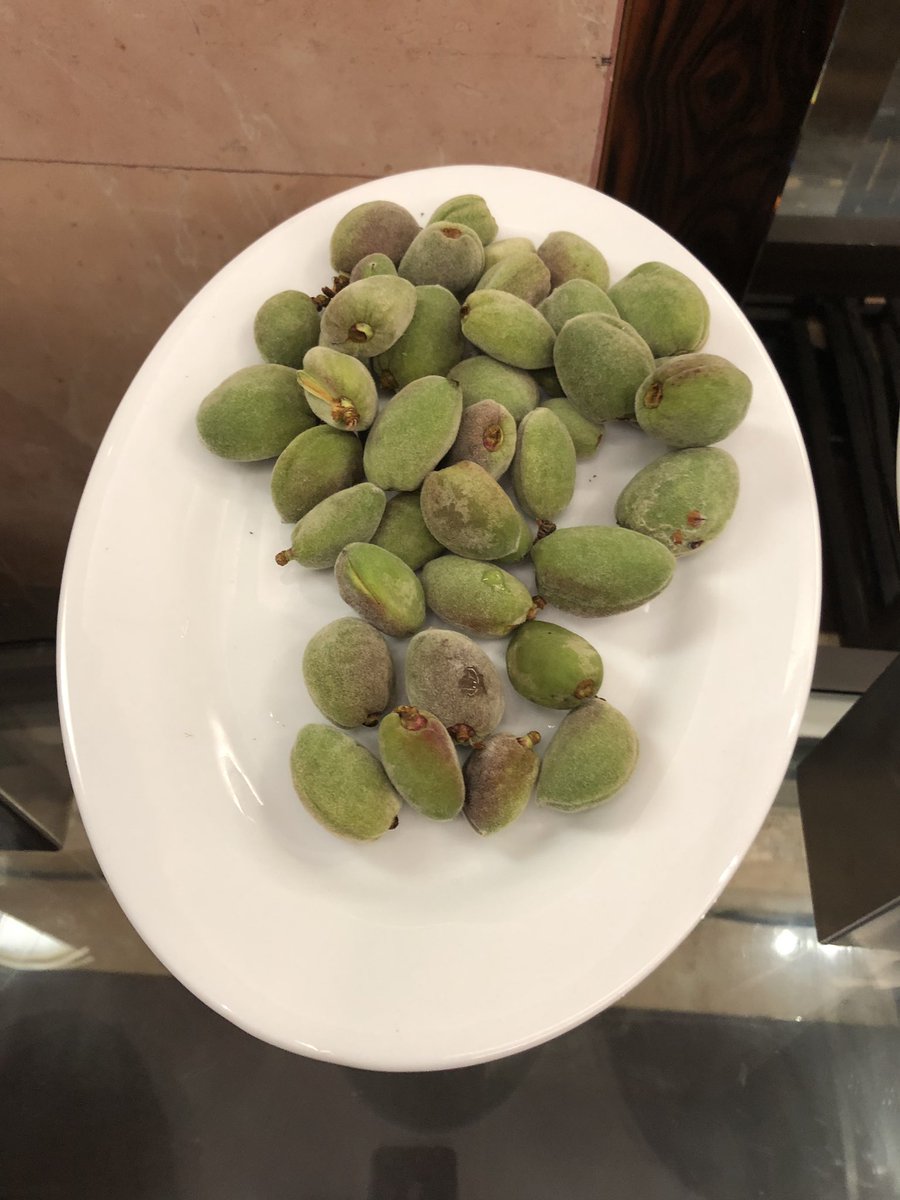 On a lighter note, <a href="/acss_org/">ACSS</a> had green almonds and loquats at the morning coffee break #MakingConferencesGreatAgain #ACSSConf2019