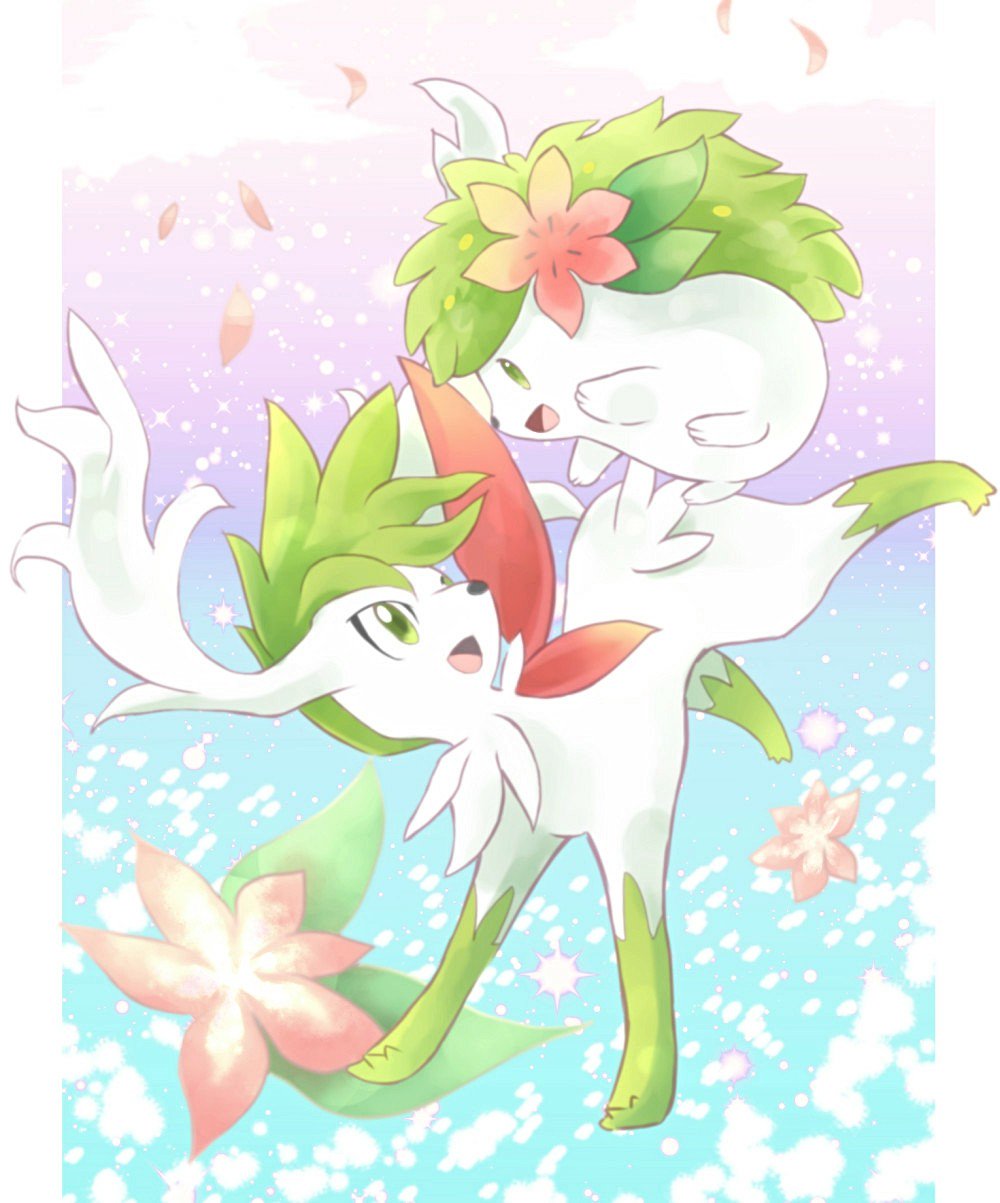 アイミ Twitterissa Asakirirokuyu 六湯さんの可愛いwシェイミ イラストから爽やかな春の風を感じます スカイミのしなやかなボディラインがとても好き Twitter