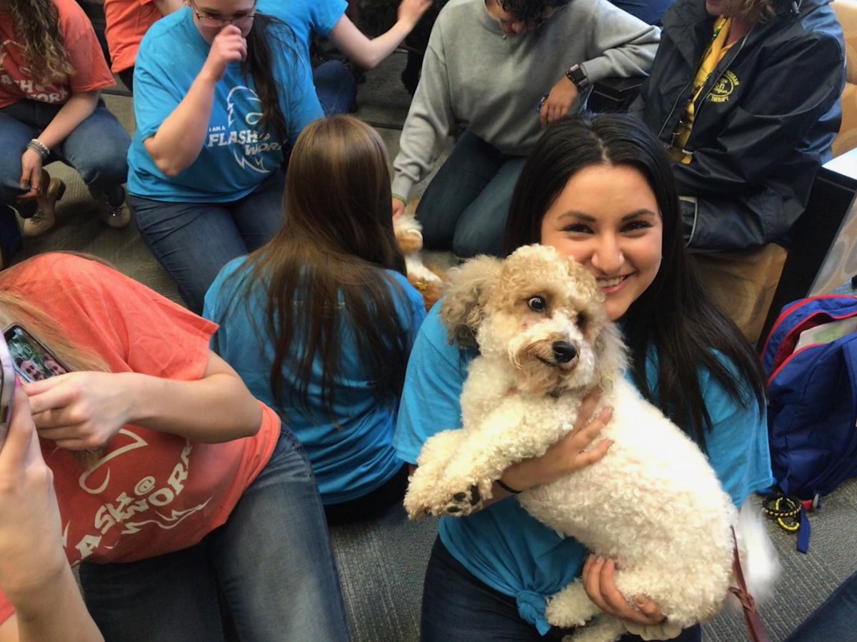 evincent32's tweet photo. .@KSUFlashComm student workers pet Milo from @KSUPetTherapy for Student Employee Appreciation Week. #flashesatwork @ksucareers https://t.co/uYtFKWGWIu