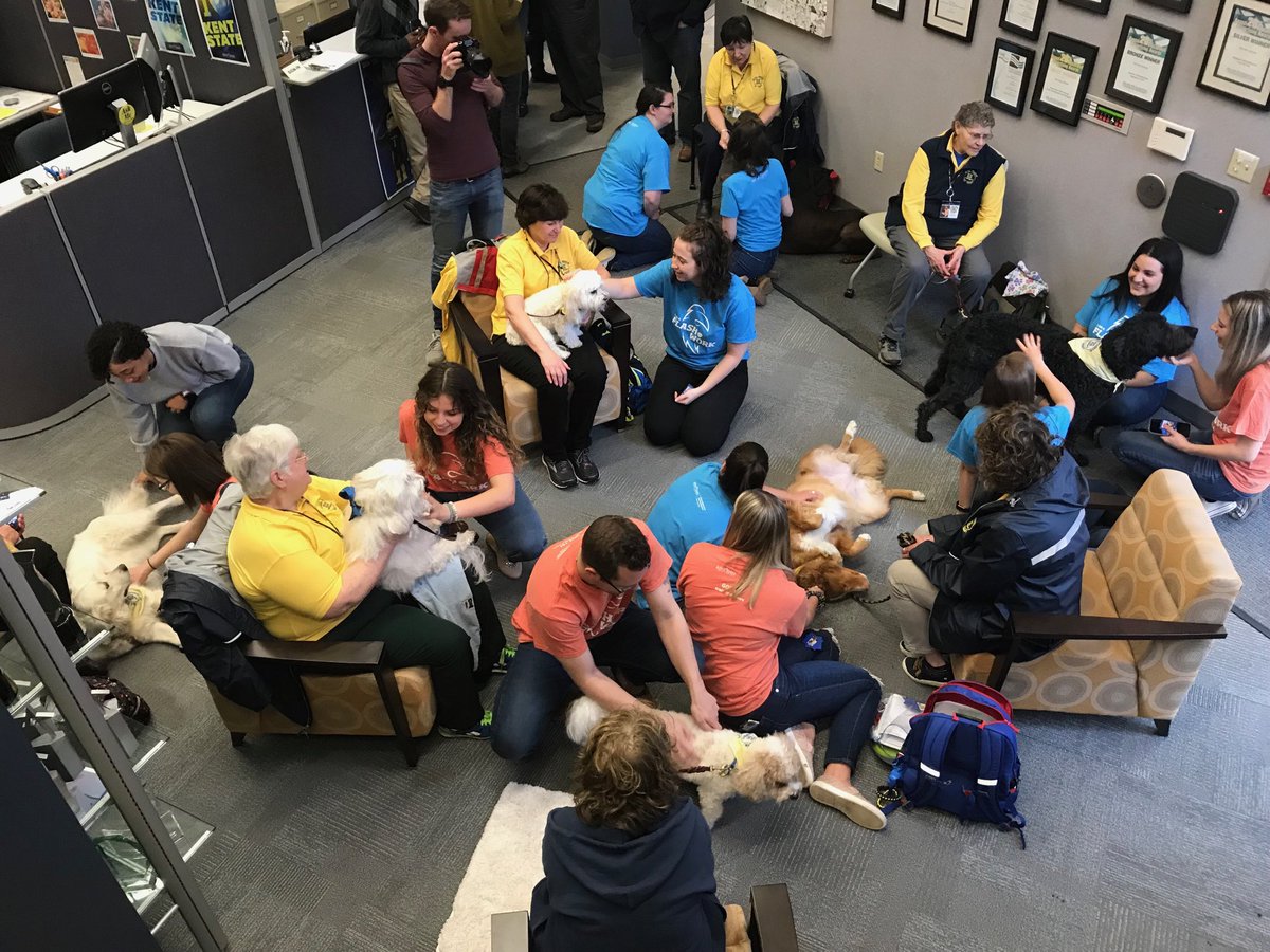 evincent32's tweet photo. Our @KSUFlashComm student workers get a visit from @KSUPetTherapy for Student Employee Appreciation Week. #flashesatwork @ksucareers https://t.co/3HX8E0BdXQ