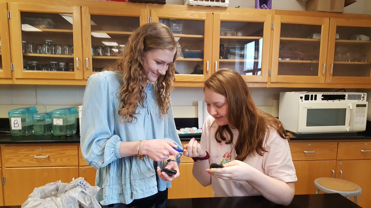 tsflick's tweet photo. @CVSciTech Future doctors, nurses, physical therapists and more. AP bio completes their blood glucose lab. Protein beats sugar everytime. Eat more eggs and fewer Pop-tarts. https://t.co/5Vf5oG8Eqn