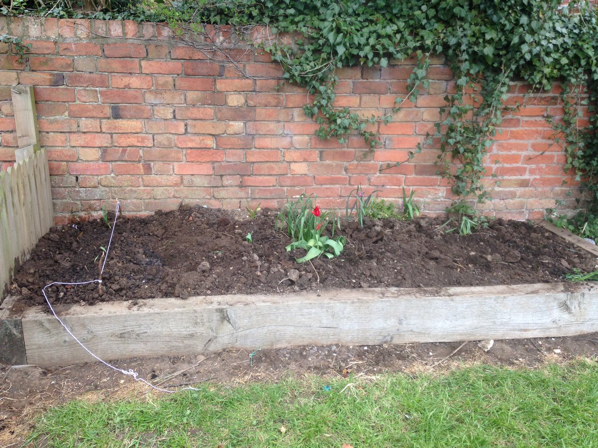 New school new gardening project started today ...onions and potatoes planted @stmichaelssch #schoolgarden