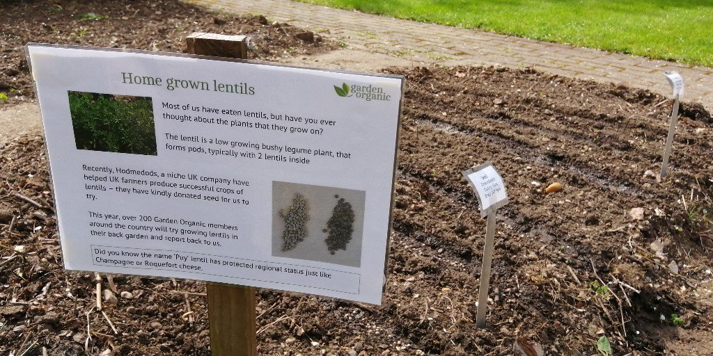 gardenorganicuk's tweet photo. We sowed our first batch of Flora and Anicia lentils this week for our Members' Experiments. Lentils need a long growing season, so we're giving them a head start!
If you're taking part, please share your pictures & updates with us... #MembersExperiments https://t.co/MpkwURXK60