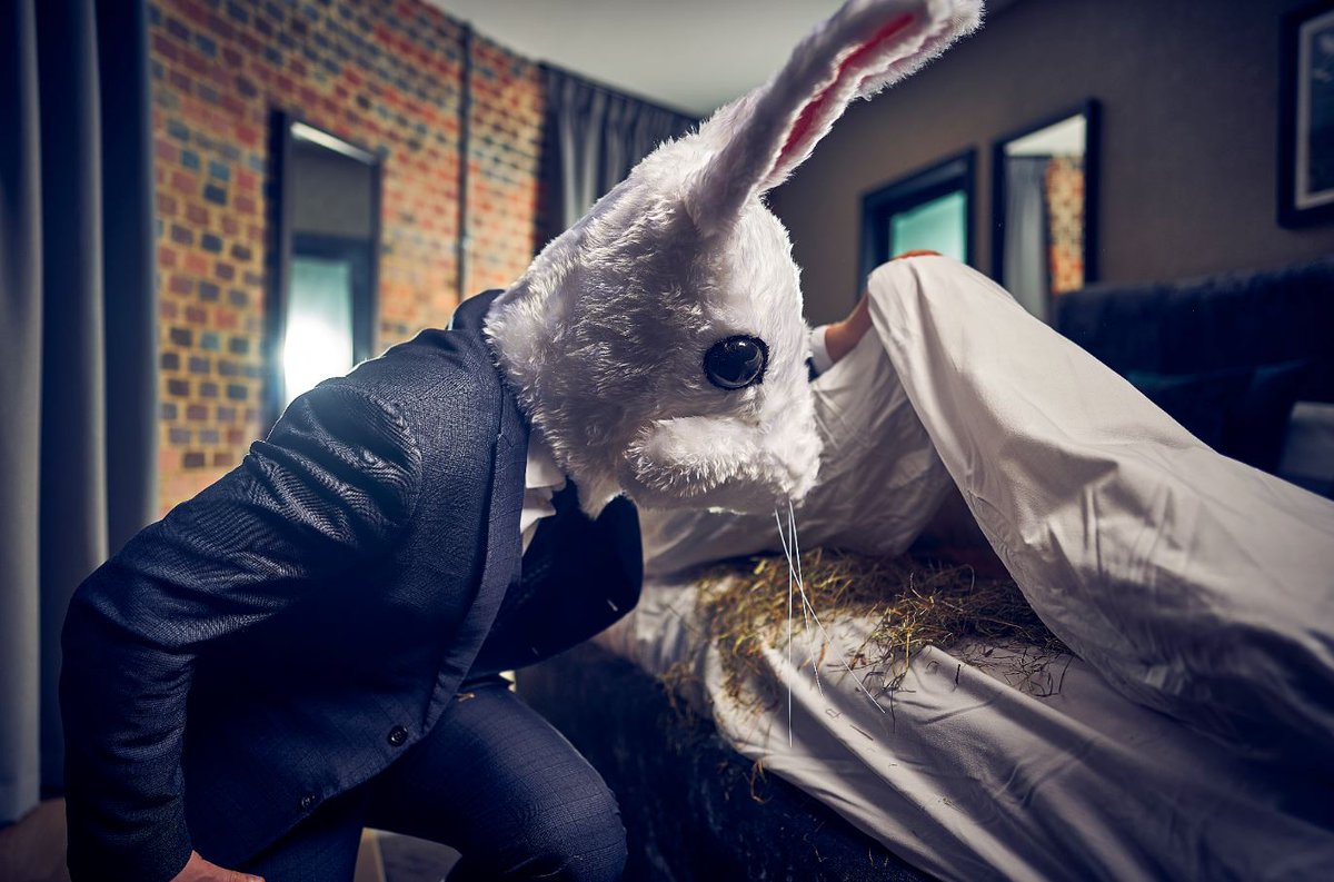 MalmaisonHotels's tweet photo. We’ll always try to satisfy your every whim at Malmaison. So, if you want hay in your bed, just ask. https://t.co/DX45AdQhdN #BadBunny #Malmaison #MalEaster #BoutiqueHotel #LuxuryHotel #Cocktails #FineFood #ChezMal #WeekendEscape #CityBreak https://t.co/NnMPQKyEM6