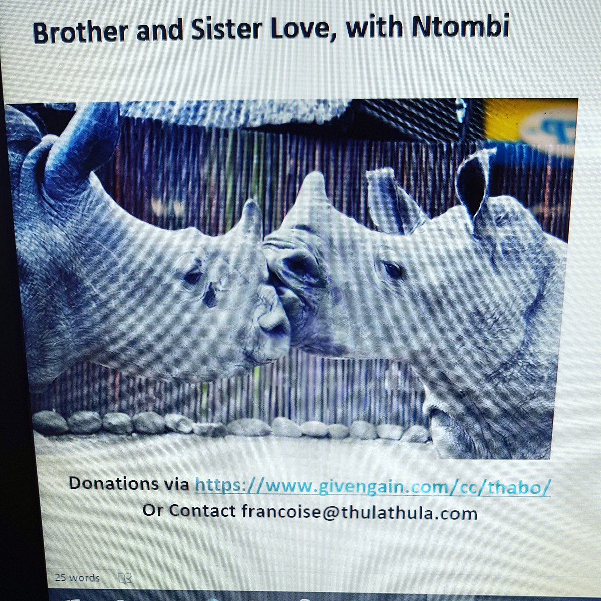 It's a beautiful love story! Come on let's help Thabo the Rhino find a girlfriend! 💗💗 @ThulaWildlife <a href="/THULATHULA1/">THULA THULA</a> <a href="/ThulaThulaFund/">THULA SOUTH AFRICAN CONSERVATION FUND</a>  <a href="/88fmBallito/">88fmBallito</a> #loverugby make a difference <a href="/XolaNtshinga/">Xola Ntshinga</a> <a href="/BreytonPaulse/">Breyton Paulse</a>