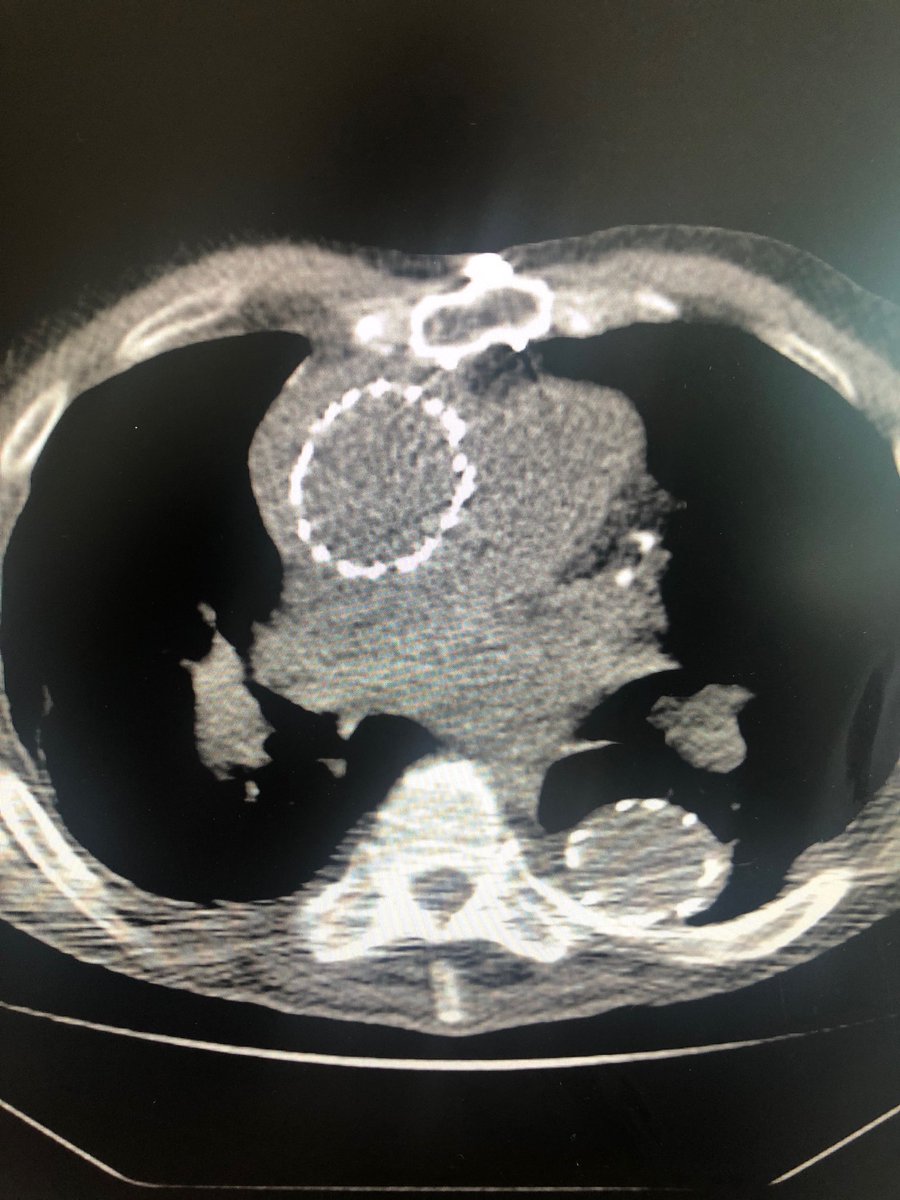 Ali Azizzadeh tweet media