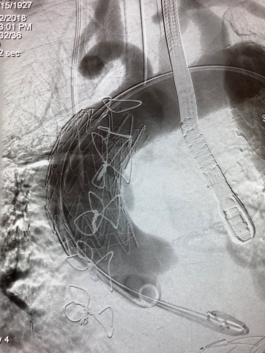 Ali Azizzadeh tweet media