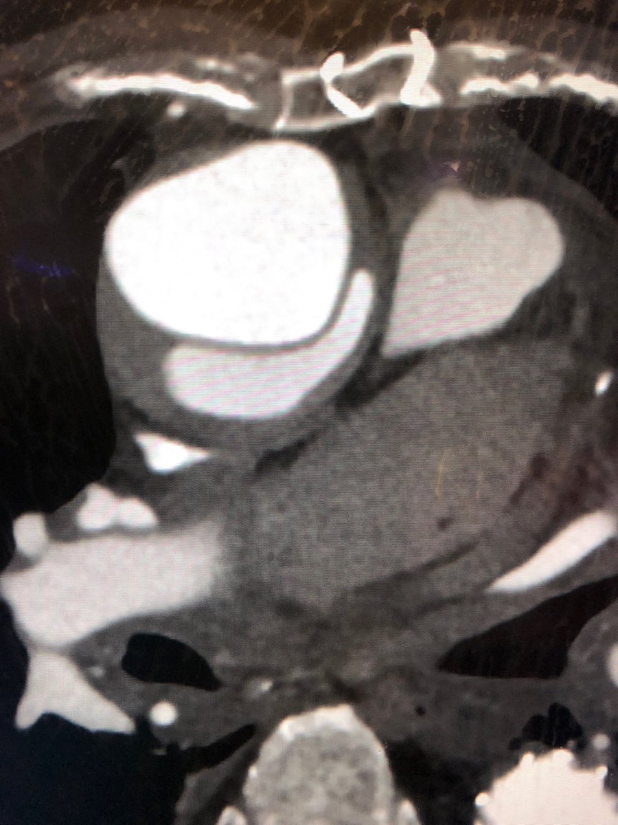 Ali Azizzadeh tweet media