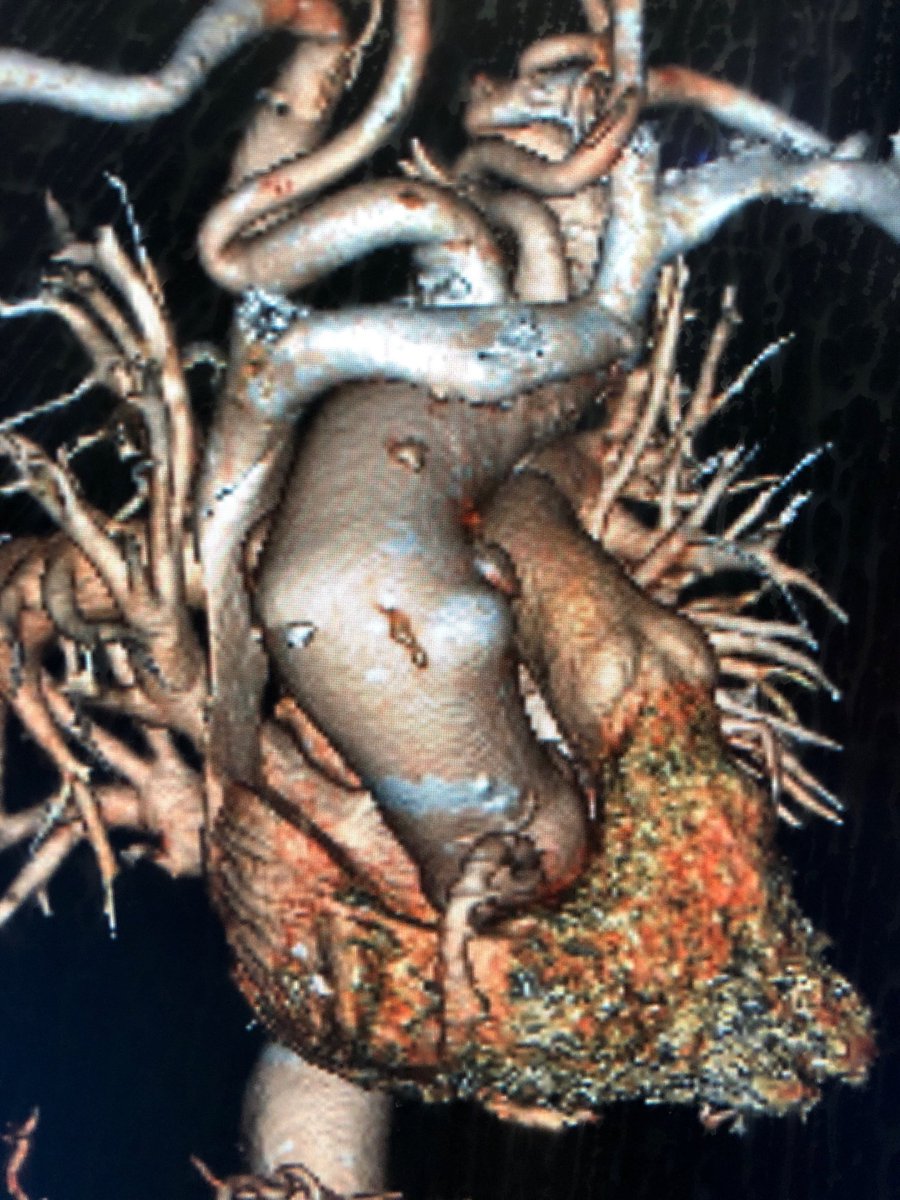 Ali Azizzadeh tweet media