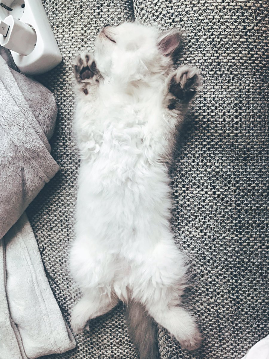 fatkylliejenner's tweet photo. Bye, Leute... https://t.co/lq19ZTDsGe
