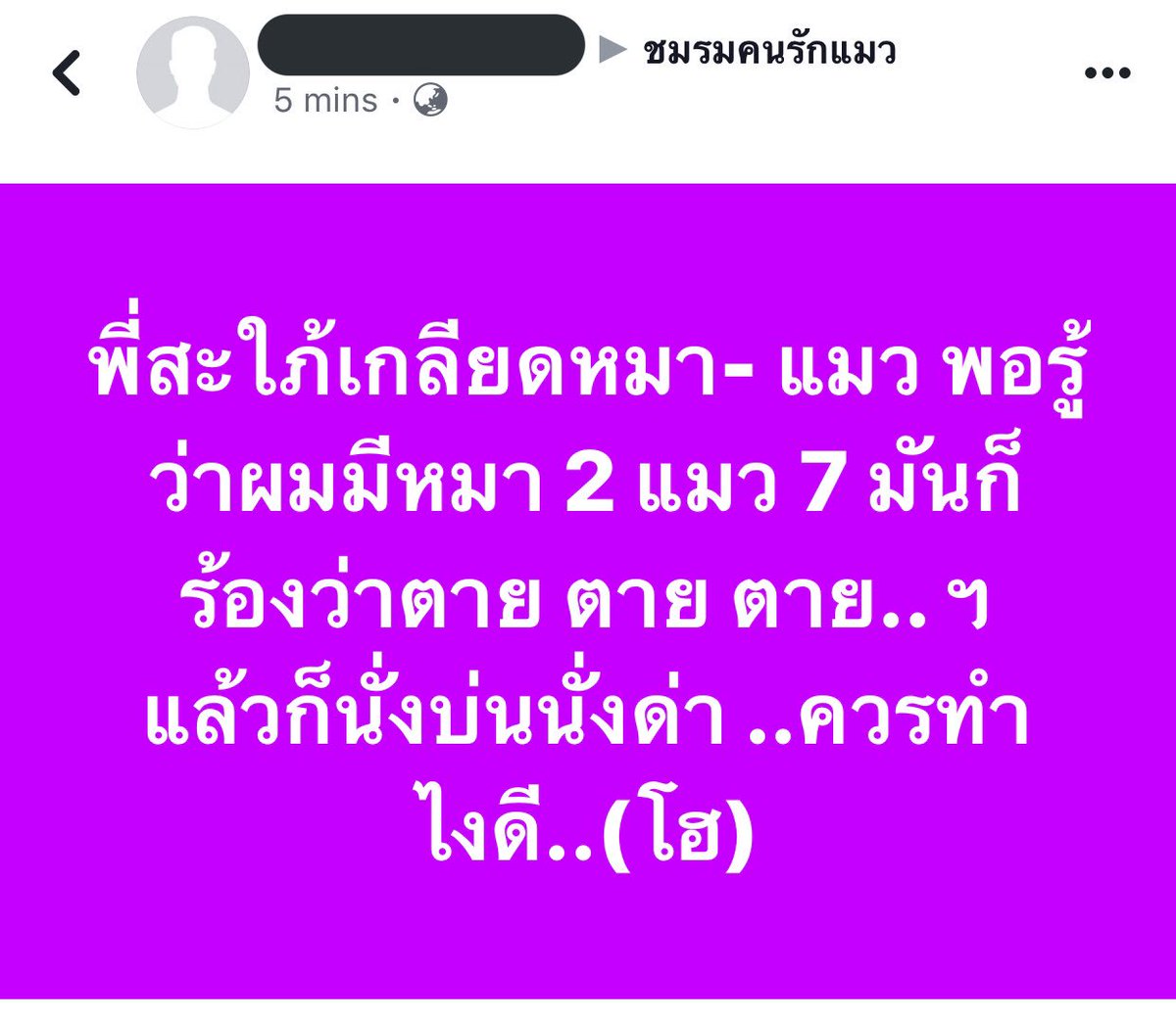 𝑯. 𝑷𝒐𝒕𝒕𝒆𝒓 ⚡️ tweet media