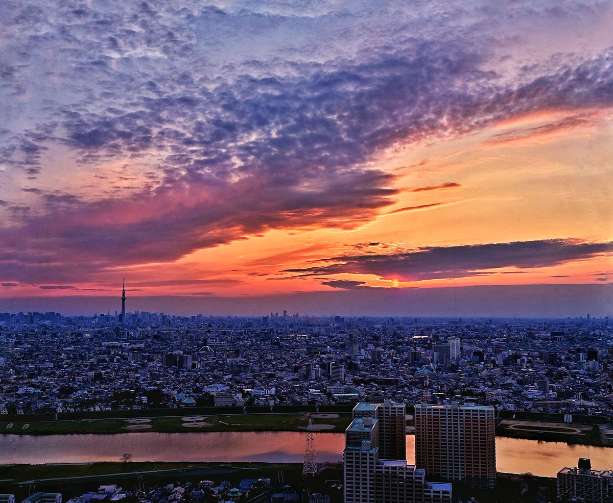 Shun いちかわの魅力新発見 再発見 V Twitter 東京 の街並みと夕焼け空 市川市 アイリンクタウン で4 12撮影 市川 千葉 千葉県 写真好きな人と繋がりたい ダレカニミセタイソラ 東京 夕焼け 新宿 池袋 絶景 スカイツリー ちいき風景 まいたうん