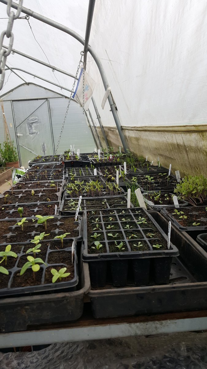 Bulwell forest garden tweet media