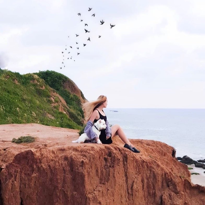 DavidTowerHotel's tweet photo. Who wouldn’t take time out to adore this view? 🌊
📷 IG: anastasiia_uch https://t.co/O7VBM23Tdi