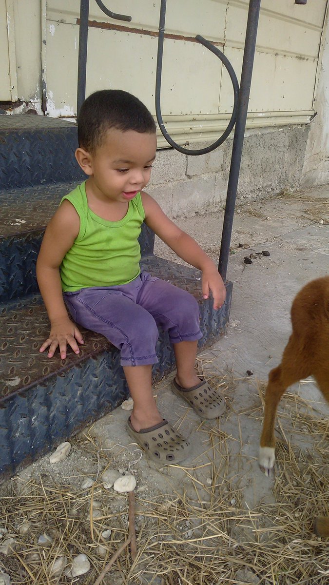 bradelis marchan (@bradelis1) on Twitter photo 