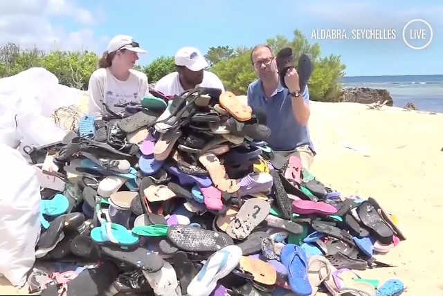 UniofOxford's tweet photo. Craig and Josie, volunteers from @QueensCollegeOx for the @AldabraCleanUp , speak to @SkyNews as part of #DeepOceanLive about their clean-up effort and trying to remove 60,000 flip flops from a turtle nesting area 🐢 https://t.co/WnAbfFkZOK @SIF_Seychelles https://t.co/9k5SK8SC91