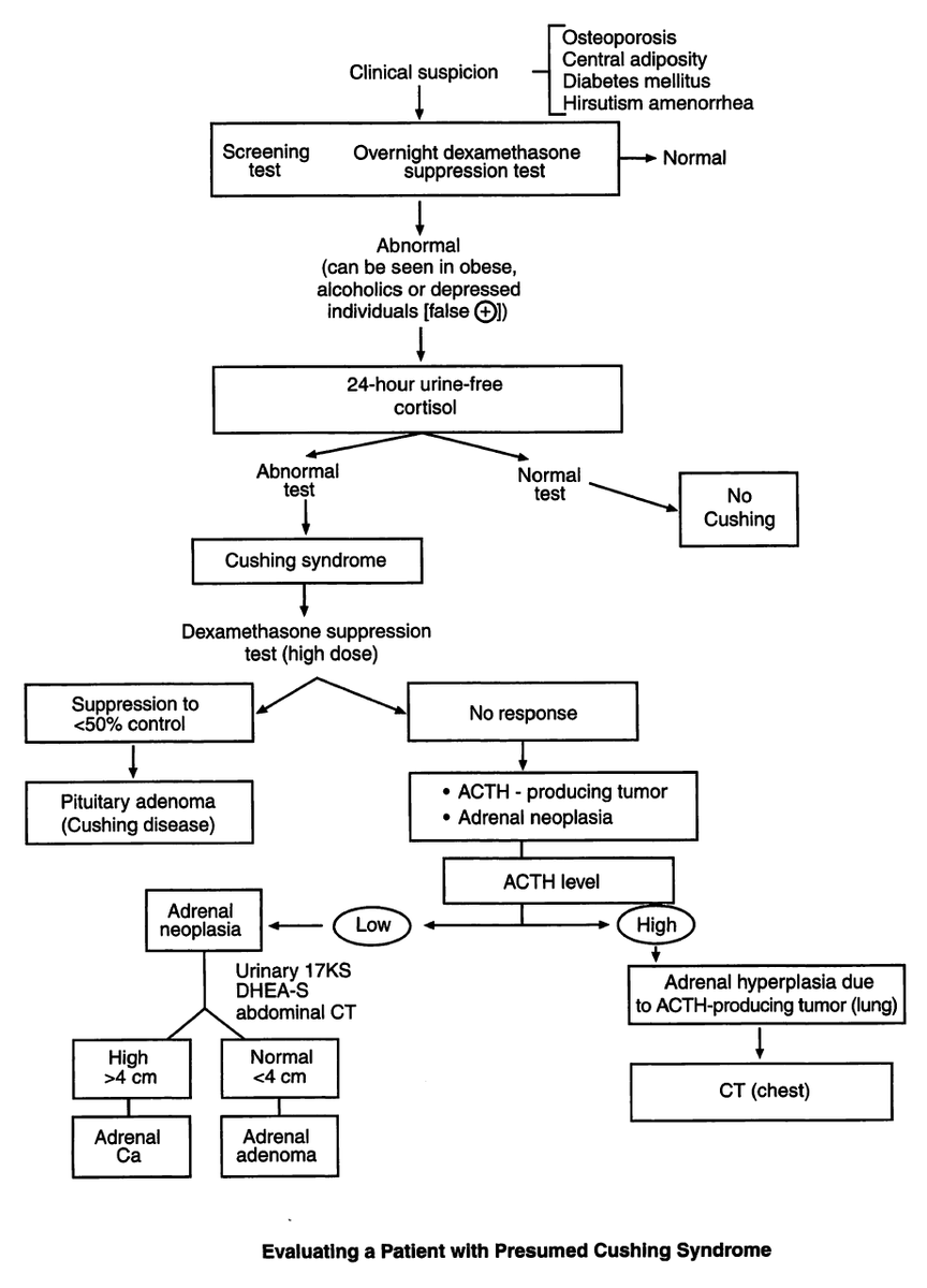 ManualOMedicine's tweet photo. Evaluating a Patient with Presumed Cushing Syndrome . #meded #foamed #usmle #medicine https://t.co/lu7VjggAZk