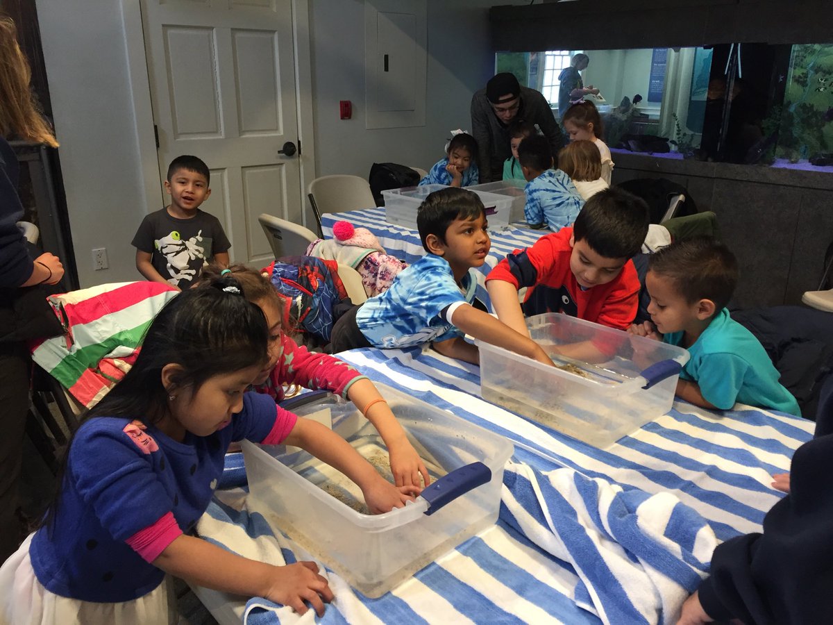KTMKindergarten's tweet photo. SoundWaters fun! https://t.co/wCjnLpanLq