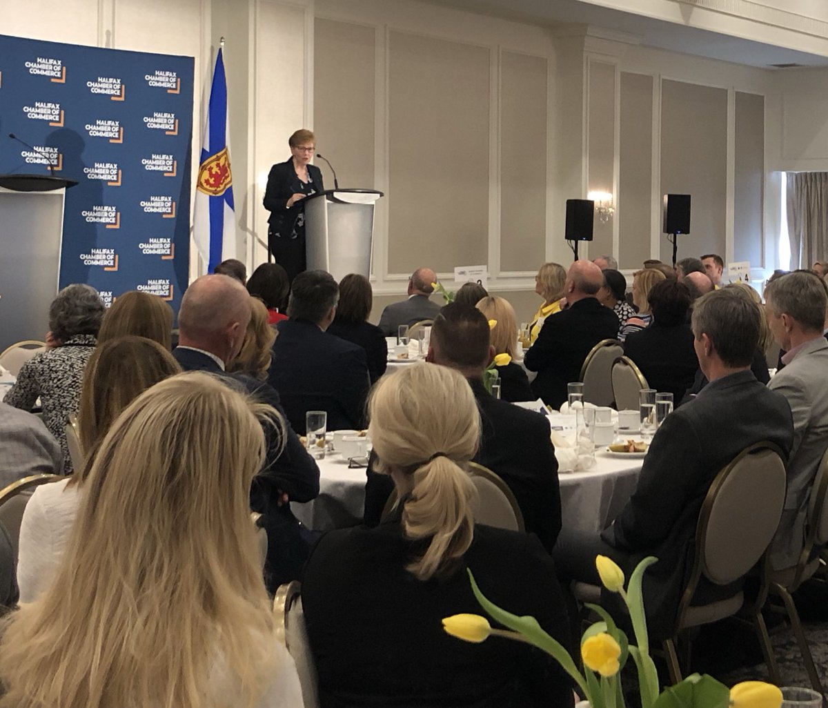 rebeccadaviso17's tweet photo. Janet Knox addresses ~150 @halifaxchamber members today on the evolution of our provincial health care system. #HCCHealth https://t.co/61cvhknBK9